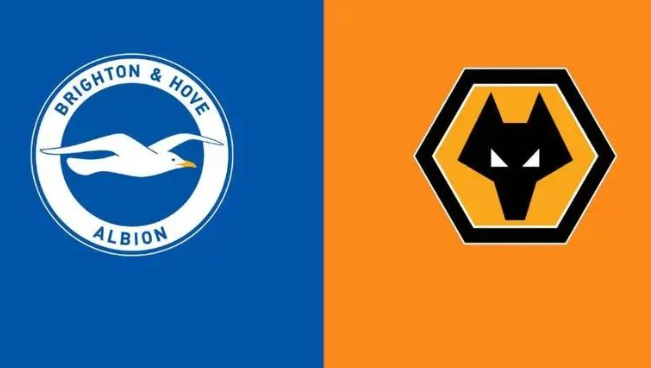  EFL Cup Preview Brighton vs Wolves Match Prediction