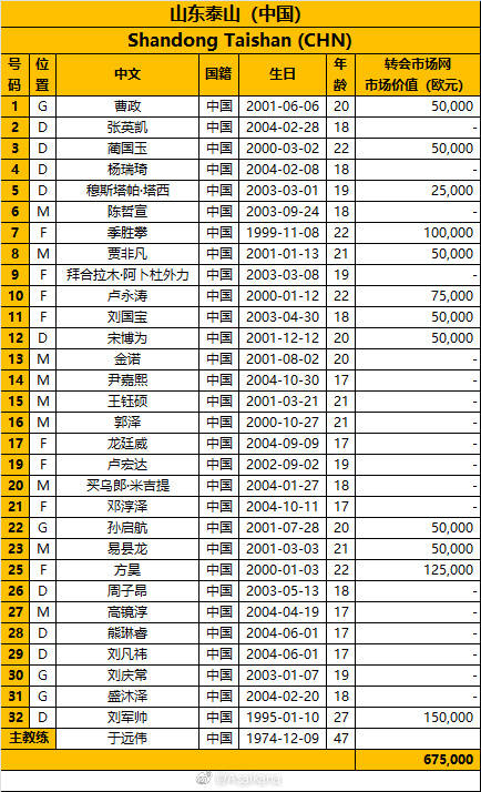 泰山队亚冠扩充名单揭晓：四位新星加盟引关注